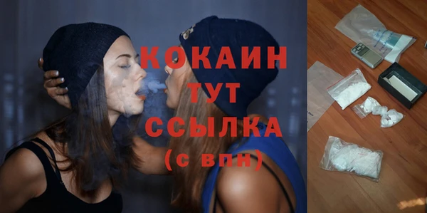 дмт Белокуриха