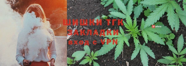 гашик Белоозёрский