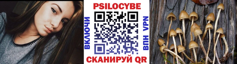 Галлюциногенные грибы Psilocybine cubensis магазин продажи Вуктыл